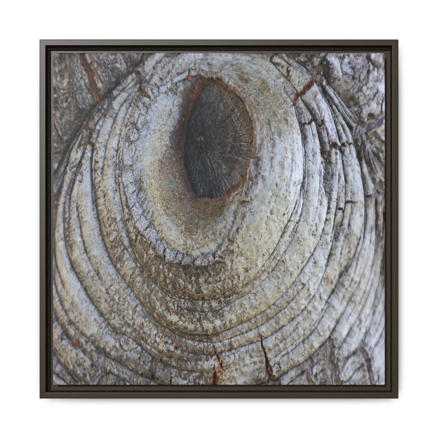 Echoes of Time - Unique Stretched Canvas Wall Art - Art By Earth