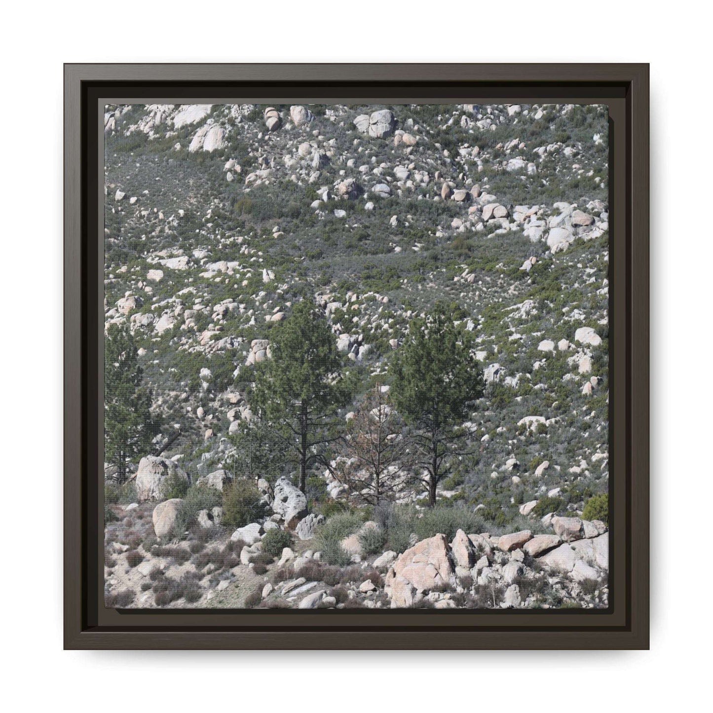 Rocky Hillside with Pine Trees - Unique Stretched Canvas Wall Art - Art By Earth