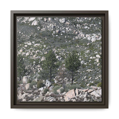 Rocky Hillside with Pine Trees - Unique Stretched Canvas Wall Art - Art By Earth