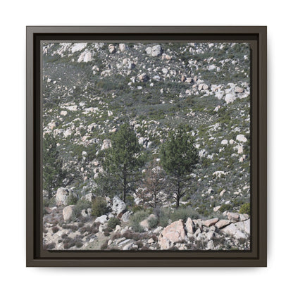 Rocky Hillside with Pine Trees - Unique Stretched Canvas Wall Art - Art By Earth