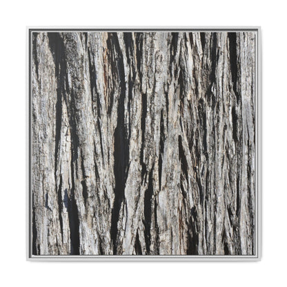 Bark Lines - Unique Stretched Canvas Wall Art - Art By Earth