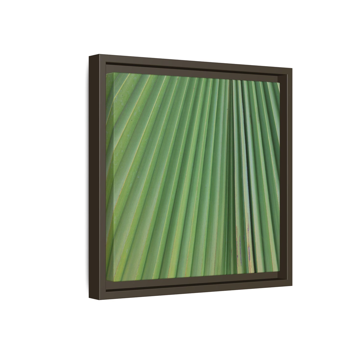 Emerald Rays - Unique Stretched Canvas Wall Art - Art By Earth