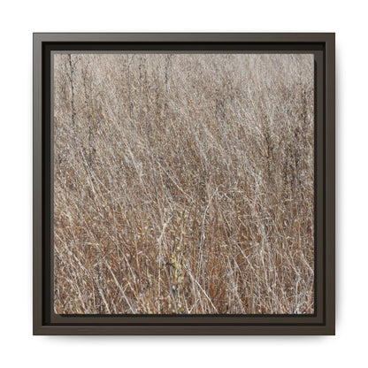 Whispers of Autumn - Unique Stretched Canvas Wall Art - Art By Earth