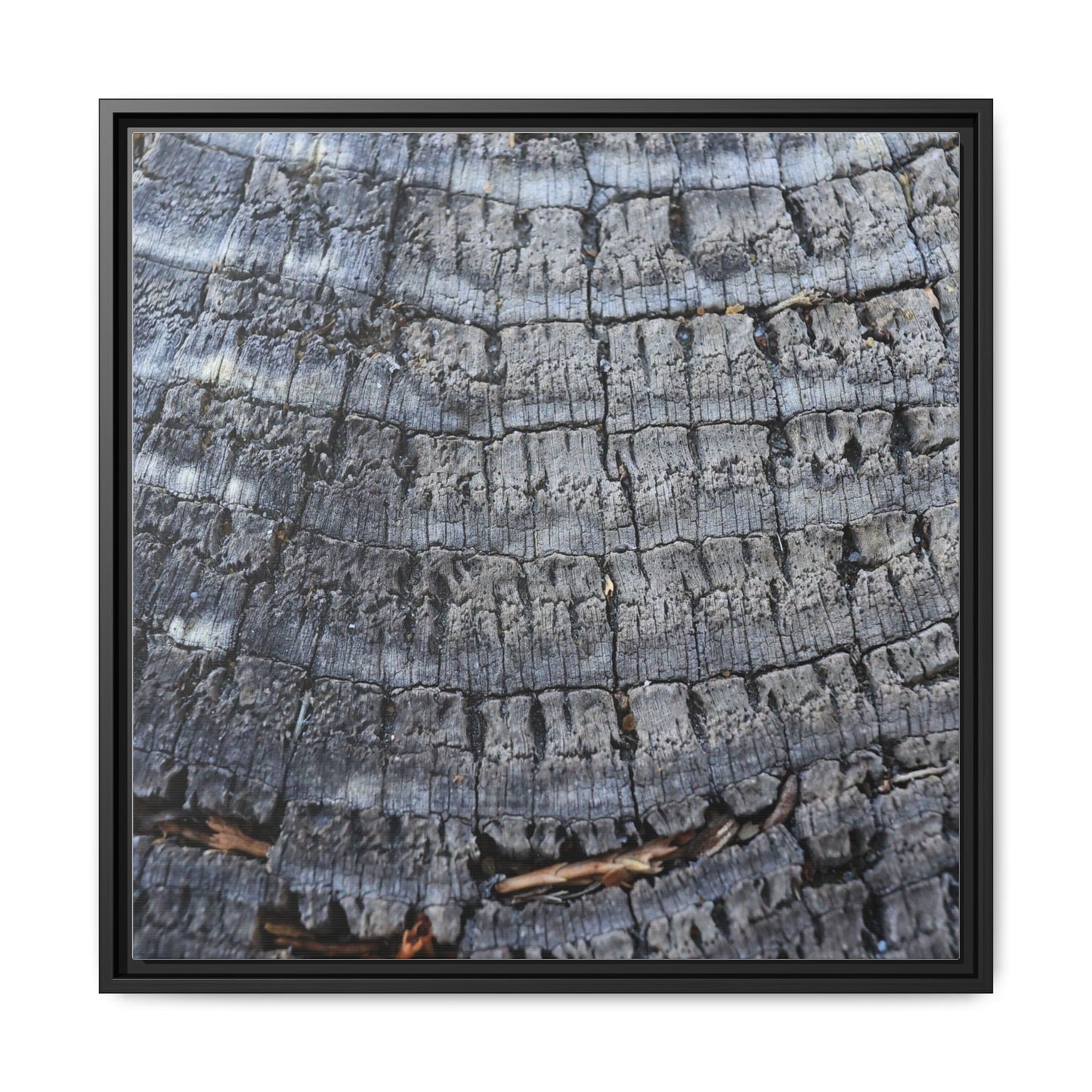 Charred Memories - Unique Stretched Canvas Wall Art - Art By Earth
