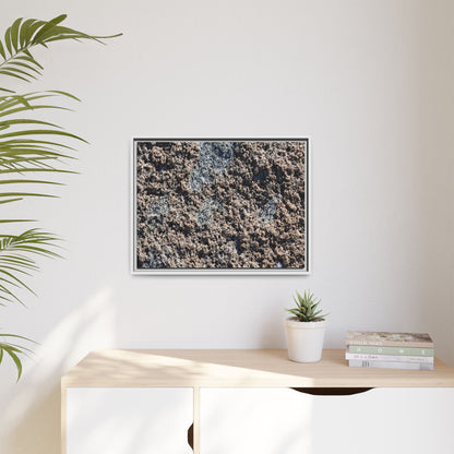 Natural Ground - Unique Stretched Canvas Wall Art