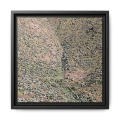 Mountain Slope with Desert Vegetation - Unique Stretched Canvas Wall Art - Art By Earth
