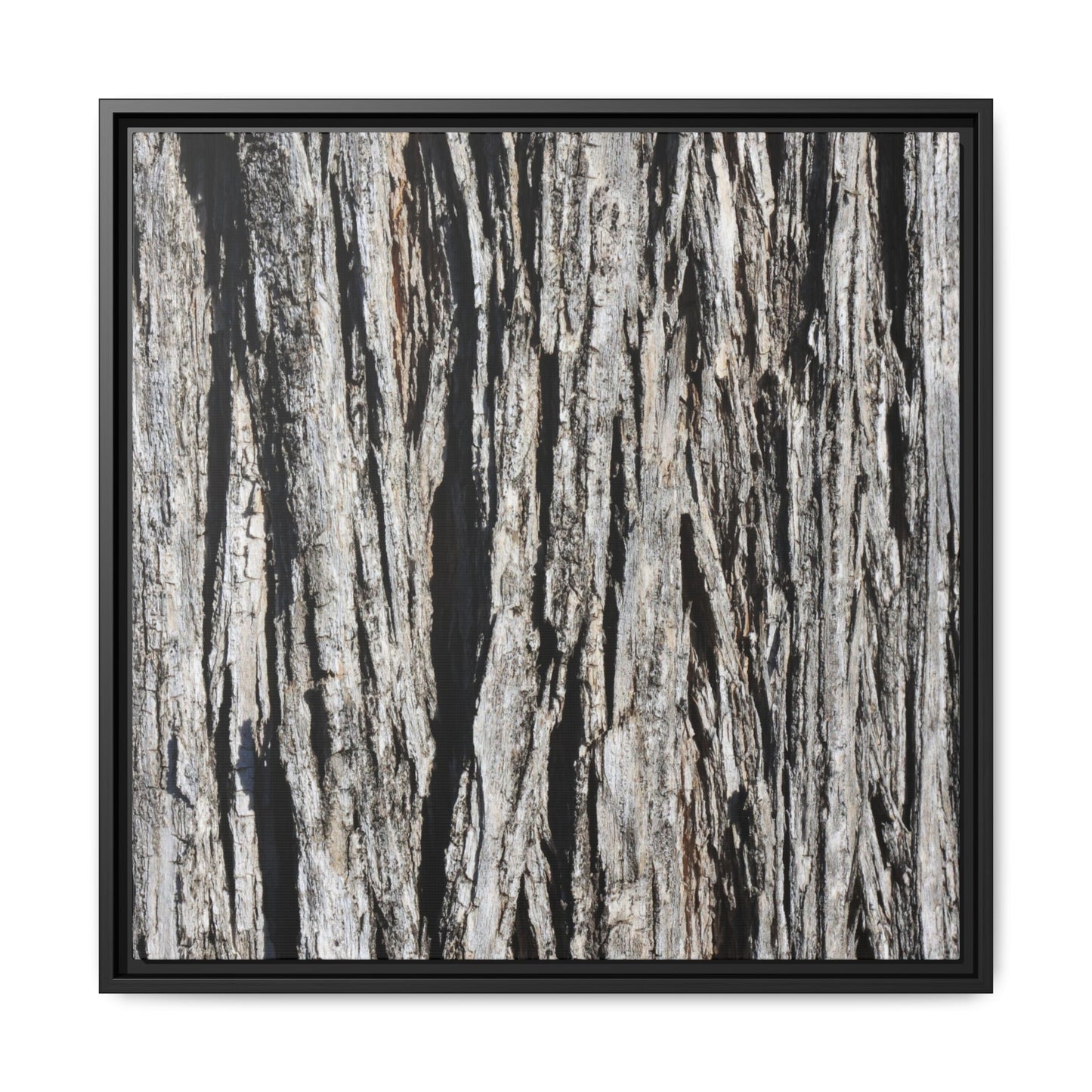 Bark Lines - Unique Stretched Canvas Wall Art - Art By Earth