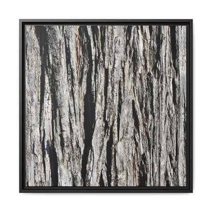 Bark Lines - Unique Stretched Canvas Wall Art - Art By Earth