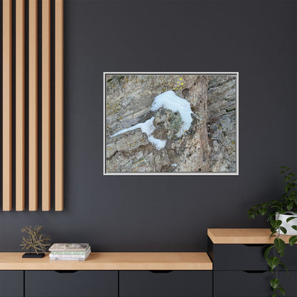Lichen's Embrace - Unique Stretched Canvas Wall Art