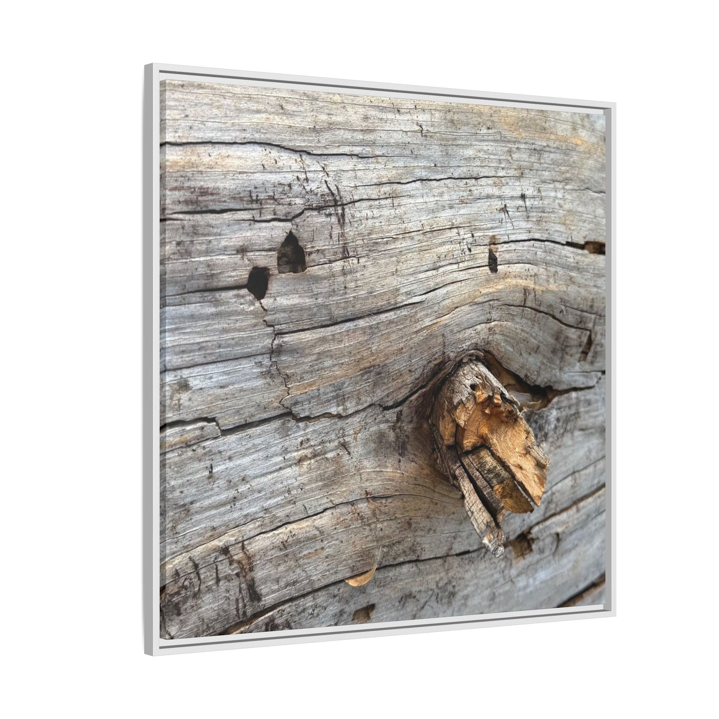 Weathered Wood Texture - Unique Stretched Canvas Wall Art - Art By Earth