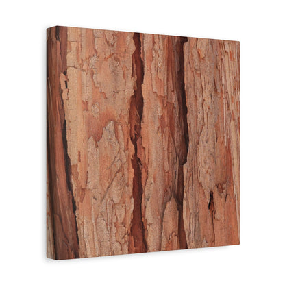 Bark Layers of Time - Unique Frameless Canvas Wall Art - Art By Earth