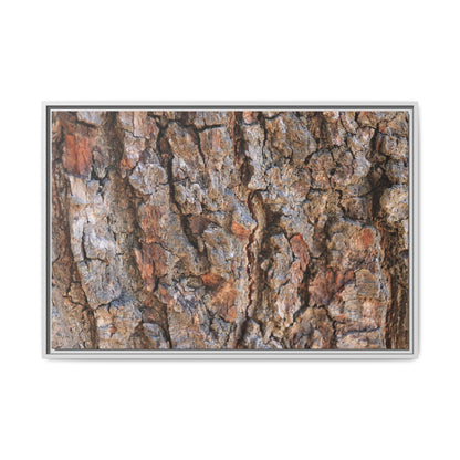 Tree's Timeworn Tale - Unique Stretched Canvas Wall Art - Art By Earth