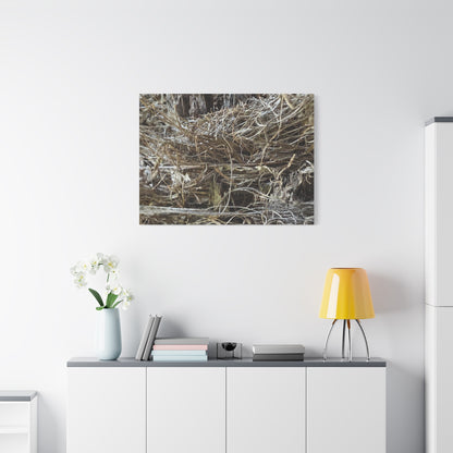 Whispers in Dry Grass - Unique Frameless Canvas Wall Art - Art By Earth