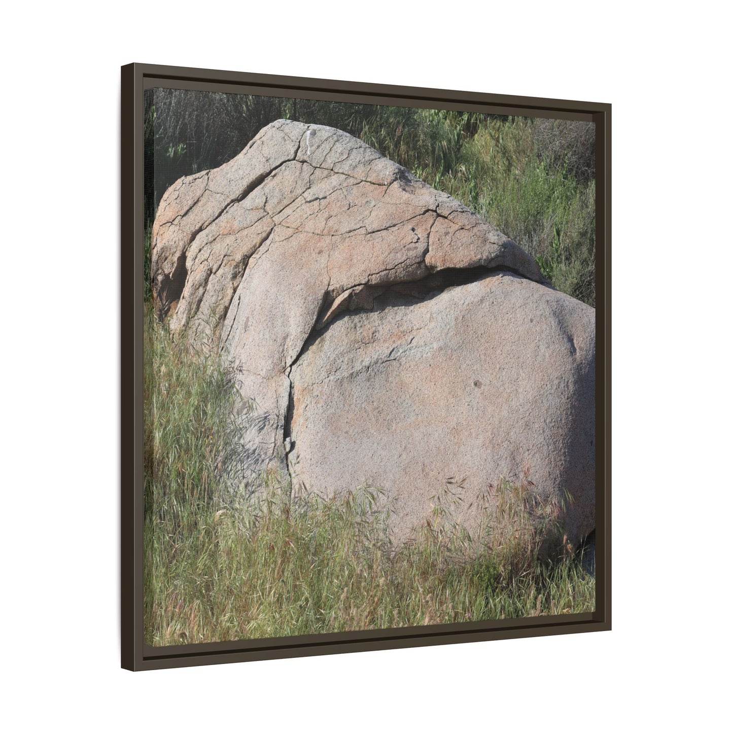 Stone Head Emerging from Earth - Unique Stretched Canvas Wall Art - Art By Earth