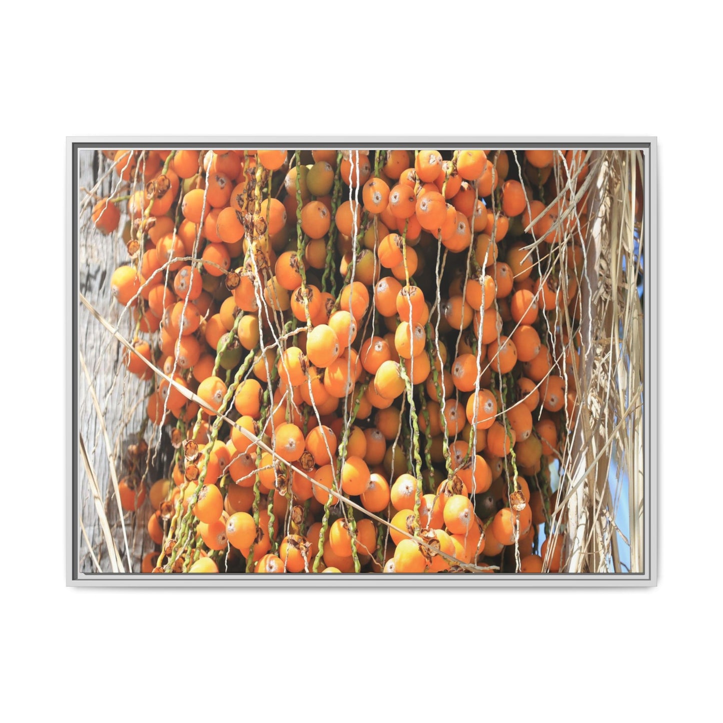 Clusters of Sunlight - Unique Canvas Wall Art - Art By Earth