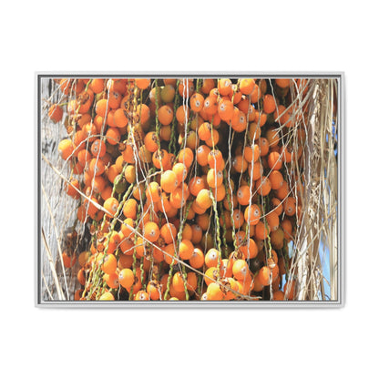 Clusters of Sunlight - Unique Canvas Wall Art - Art By Earth