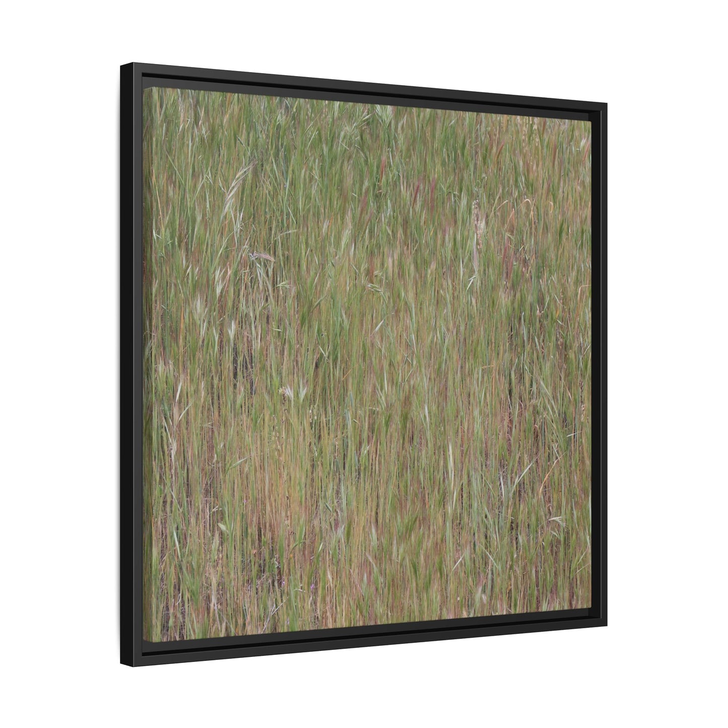Field of Dreams - Unique Stretched Canvas Wall Art - Art By Earth