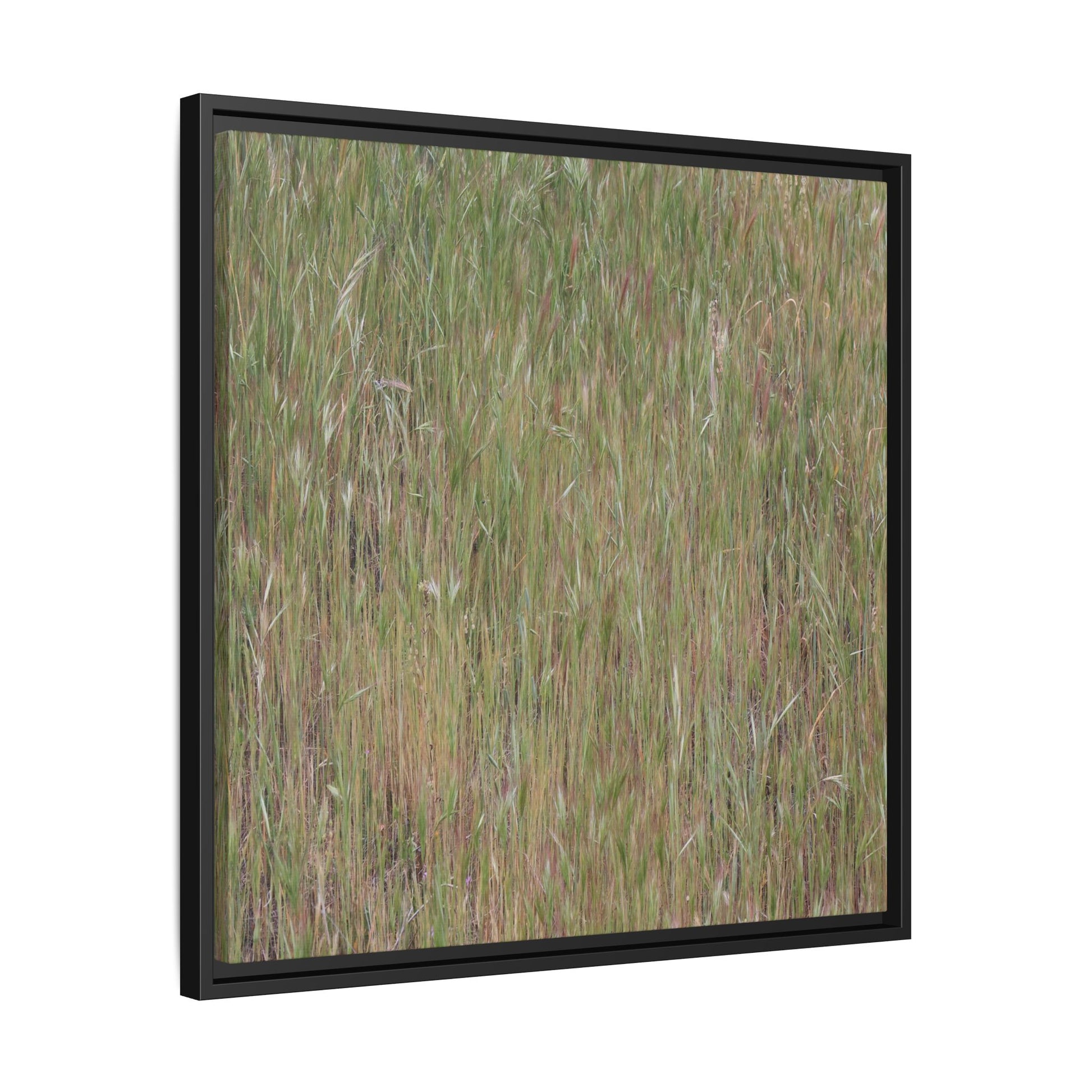 Field of Dreams - Unique Stretched Canvas Wall Art - Art By Earth