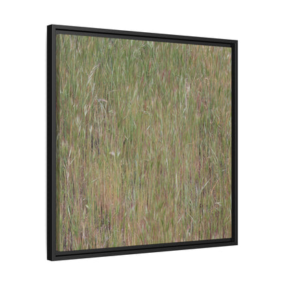 Field of Dreams - Unique Stretched Canvas Wall Art - Art By Earth