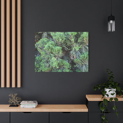 Green Labyrinth - Unique Frameless Canvas Wall Art - Art By Earth