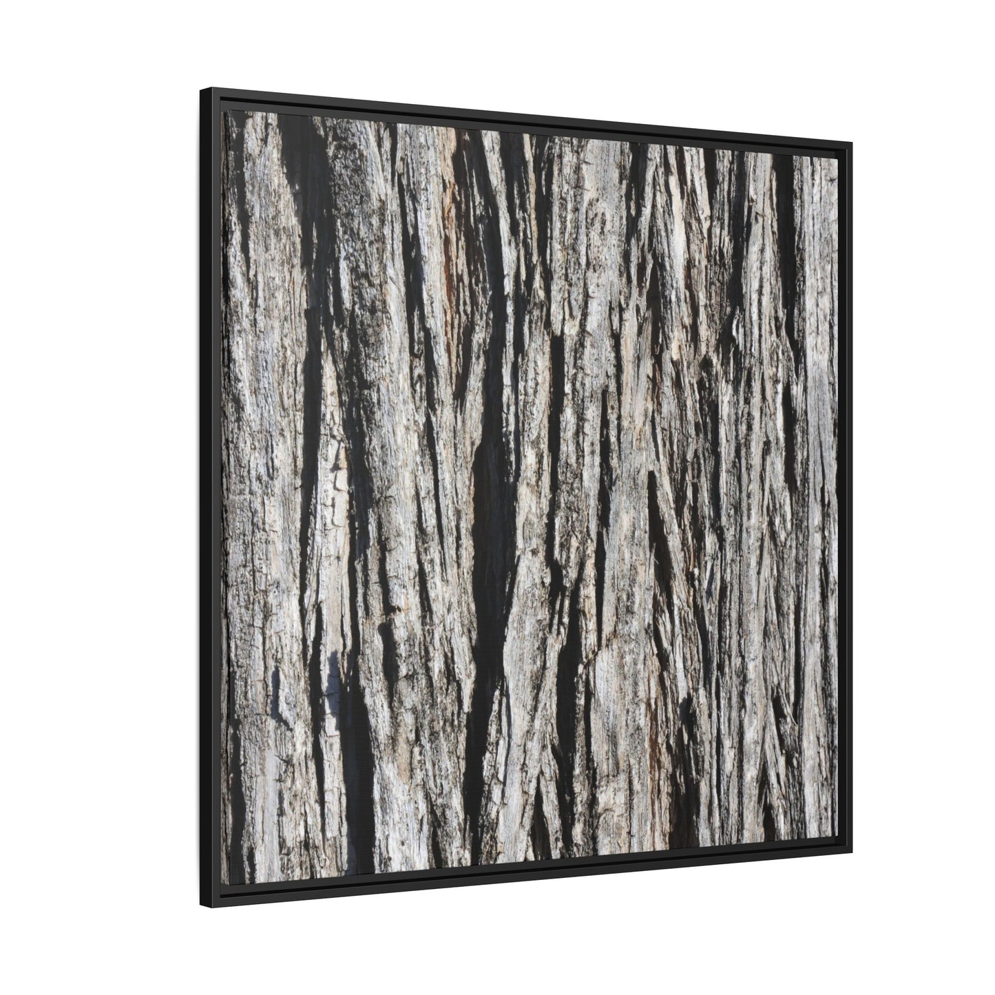 Bark Lines - Unique Stretched Canvas Wall Art - Art By Earth