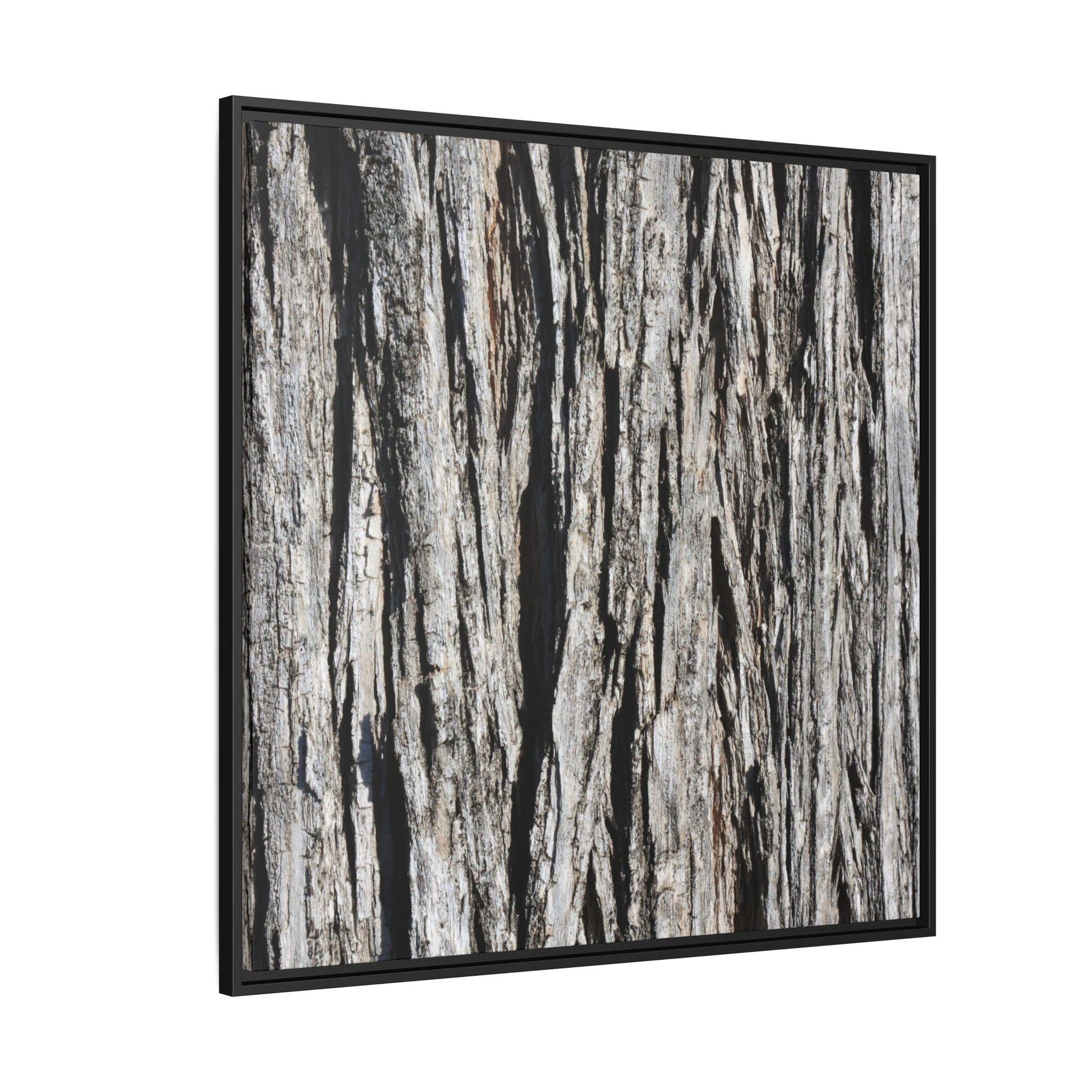 Bark Lines - Unique Stretched Canvas Wall Art - Art By Earth
