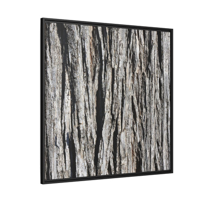 Bark Lines - Unique Stretched Canvas Wall Art - Art By Earth