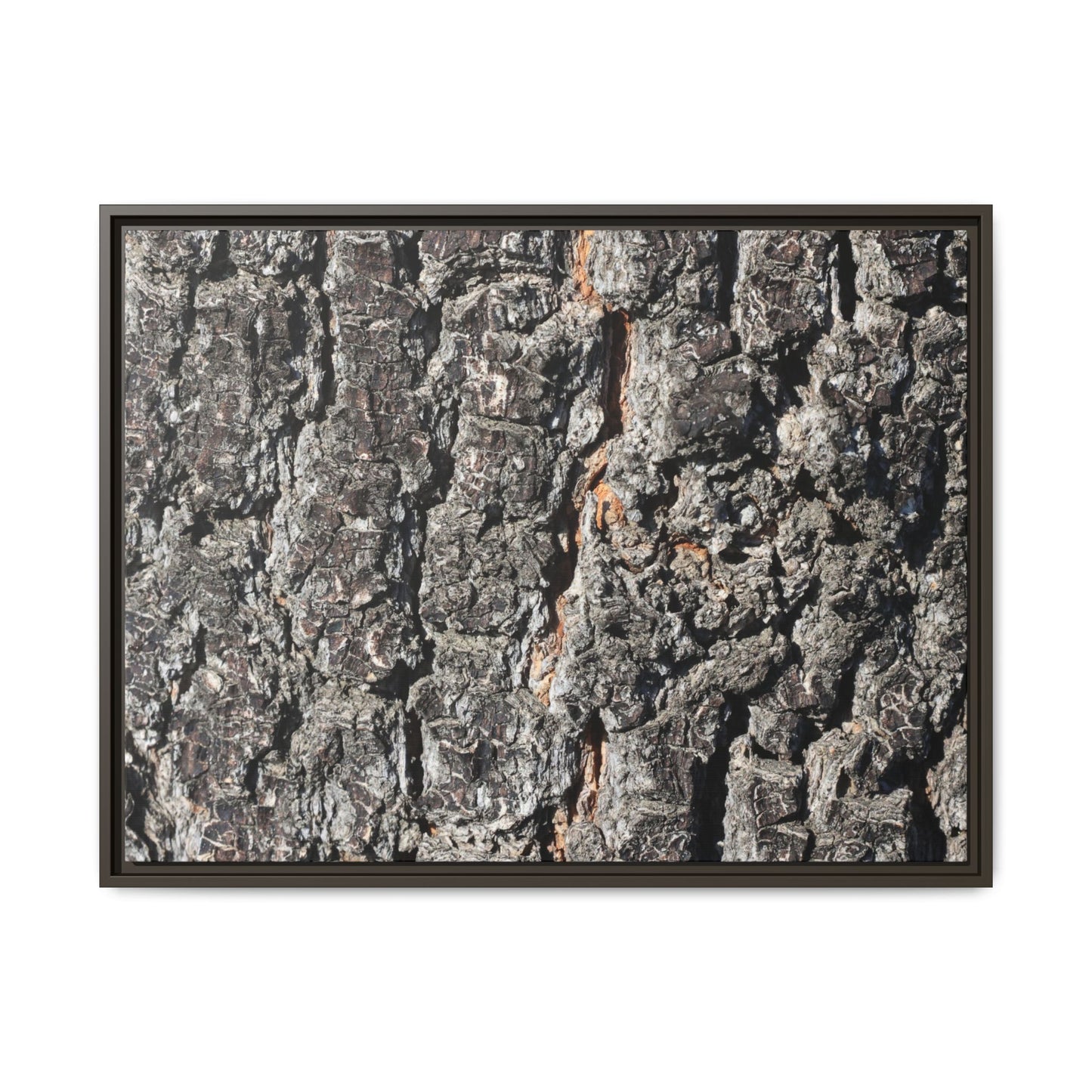 Aged Beauty - Unique Stretched Canvas Wall Art - Art By Earth