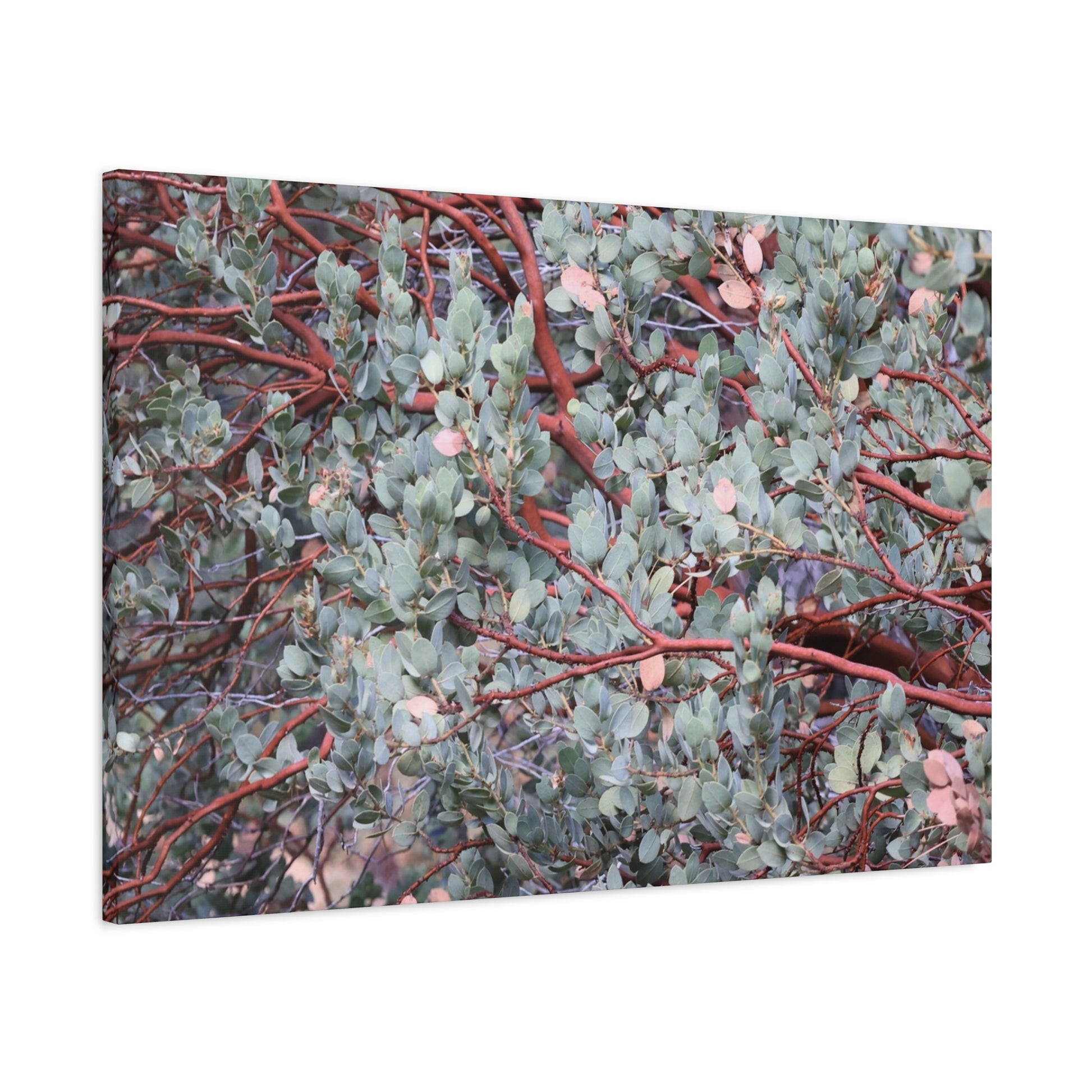 Whispers of Silver and Rust - Unique Frameless Canvas Wall Art - Art By Earth