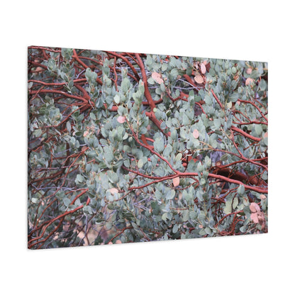 Whispers of Silver and Rust - Unique Frameless Canvas Wall Art - Art By Earth