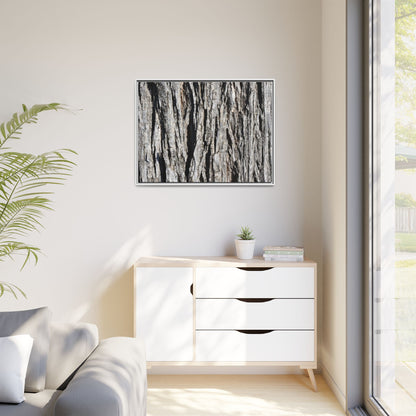 Bark Lines - Unique Stretched Canvas Wall Art - Art By Earth