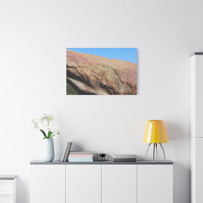 Stone Dreamer - Unique Frameless Canvas Wall Art - Art By Earth