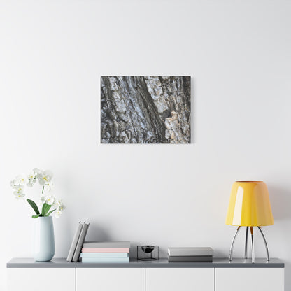 Nature's Rough Embrace - Unique Frameless Canvas Wall Art - Art By Earth