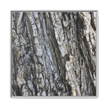 Twisted Textures - Unique Stretched Canvas Wall Art - Art By Earth