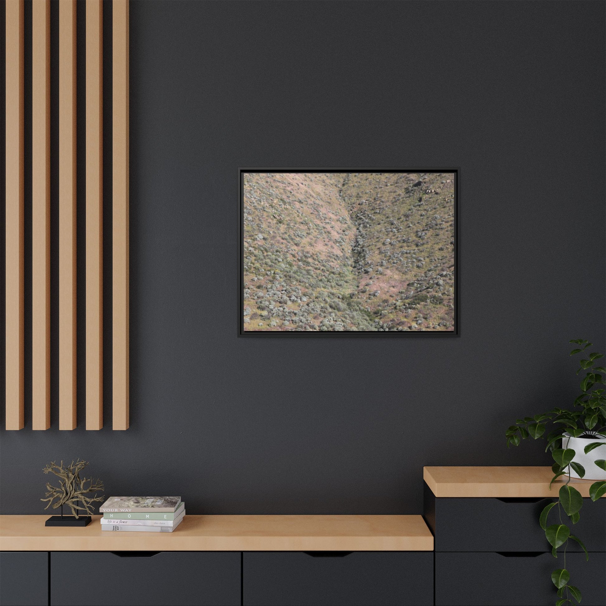 Mountain Slope with Desert Vegetation - Unique Stretched Canvas Wall Art - Art By Earth