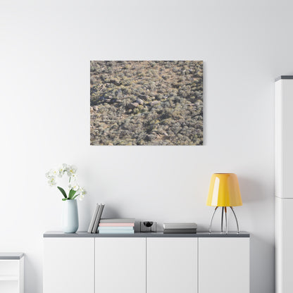 Desert Landscape with Scattered Rocks and Sage - Unique Frameless Canvas Wall Art - Art By Earth