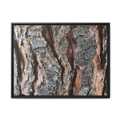 Fractured Nature - Unique Stretched Canvas Wall Art - Art By Earth