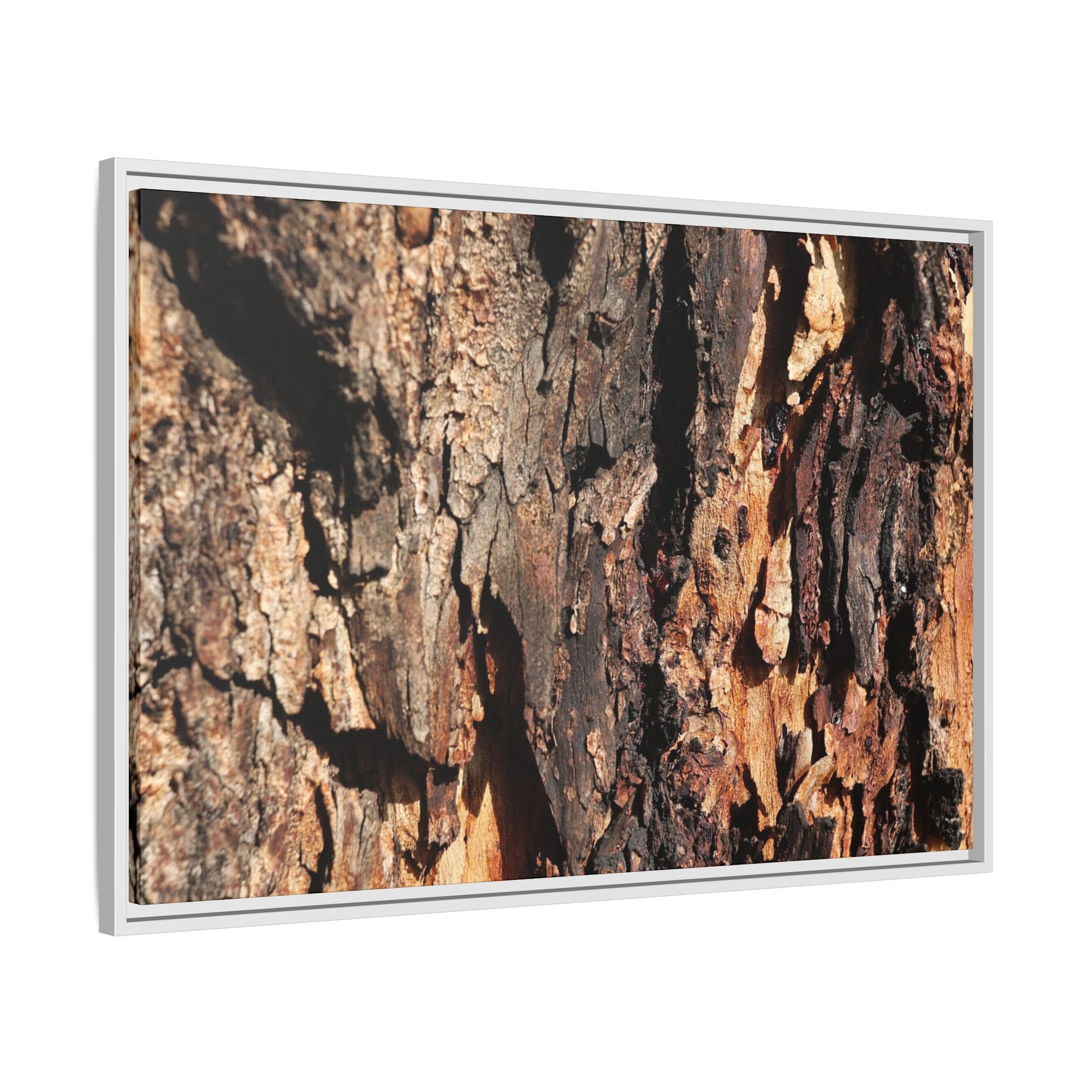 Rugged Beauty - Unique Stretched Canvas Wall Art - Art By Earth