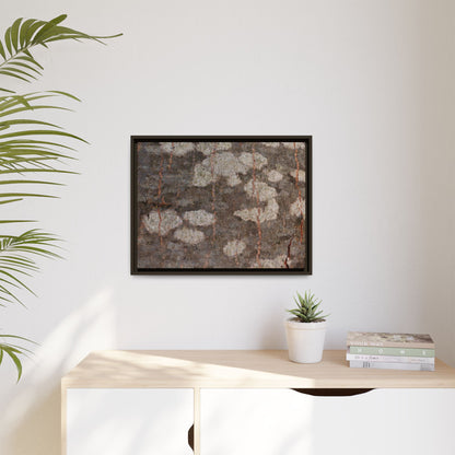 Lichen's Legacy - Unique Stretched Canvas Wall Art - Art By Earth