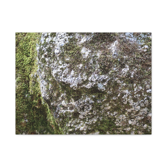 Moss and Stone Whispers - Unique Frameless Canvas Wall Art - Art By Earth