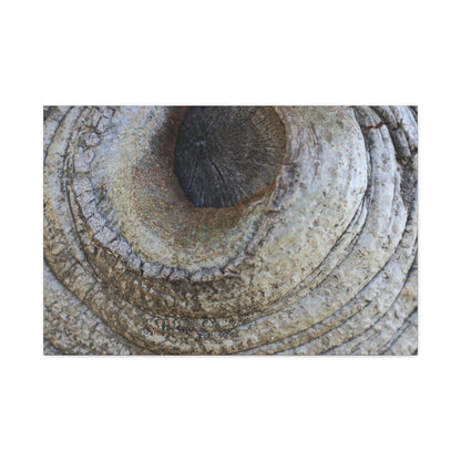 Bark's Eye - Unique Frameless Canvas Wall Art - Art By Earth