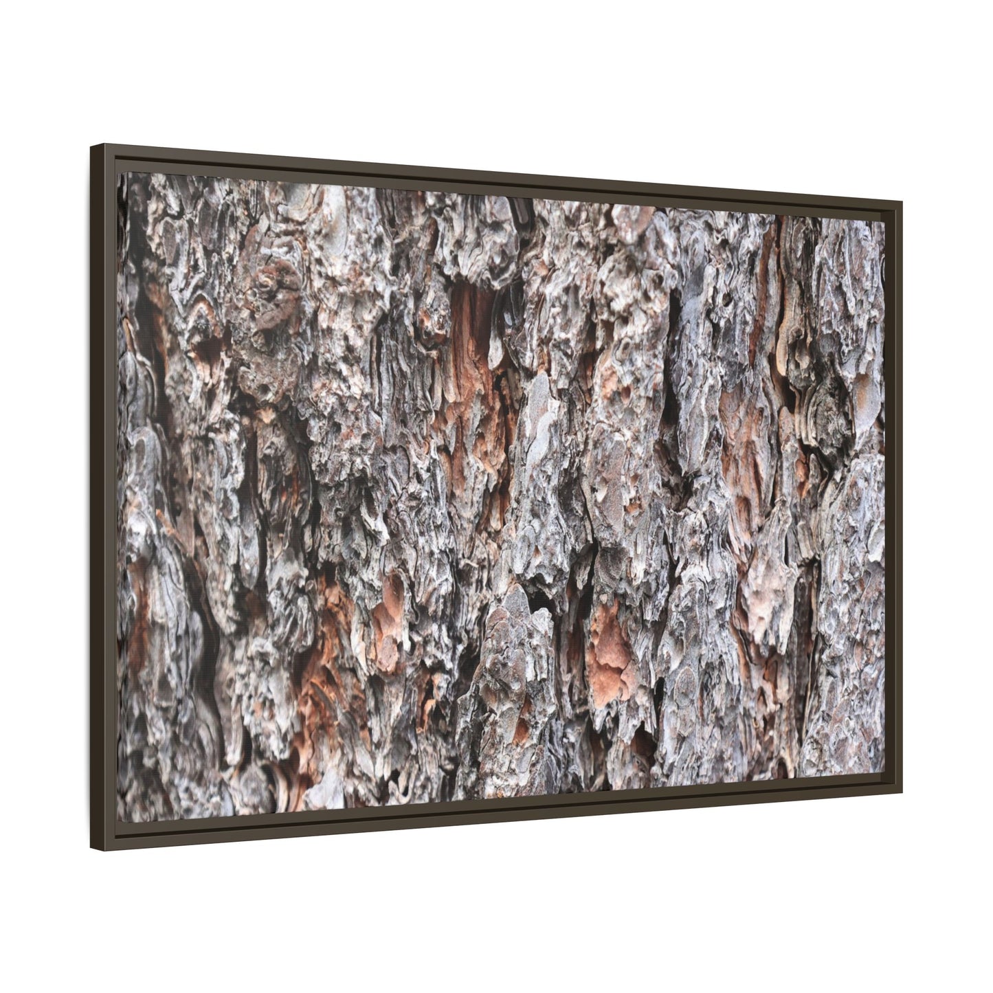 Rugged Cortex - Unique Stretched Canvas Wall Art - Art By Earth