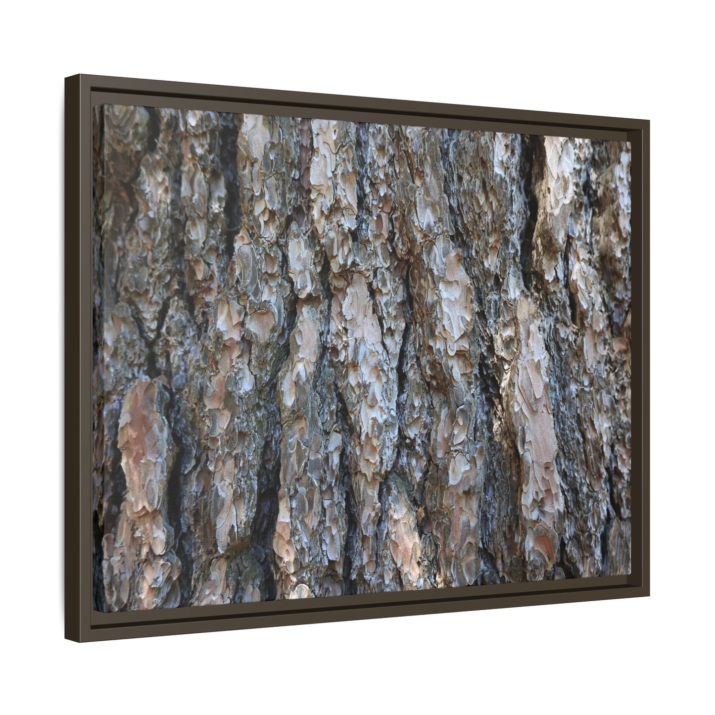 Bark Whispers - Unique Stretched Canvas Wall Art - Art By Earth