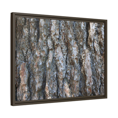 Bark Whispers - Unique Stretched Canvas Wall Art - Art By Earth