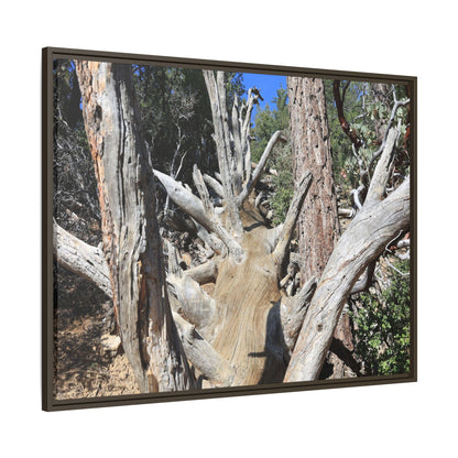 Forest Sentinels - Unique Stretched Canvas Wall Art