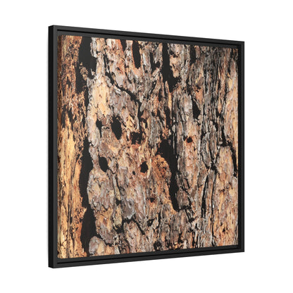 Rugged Rhythms - Unique Stretched Canvas Wall Art - Art By Earth