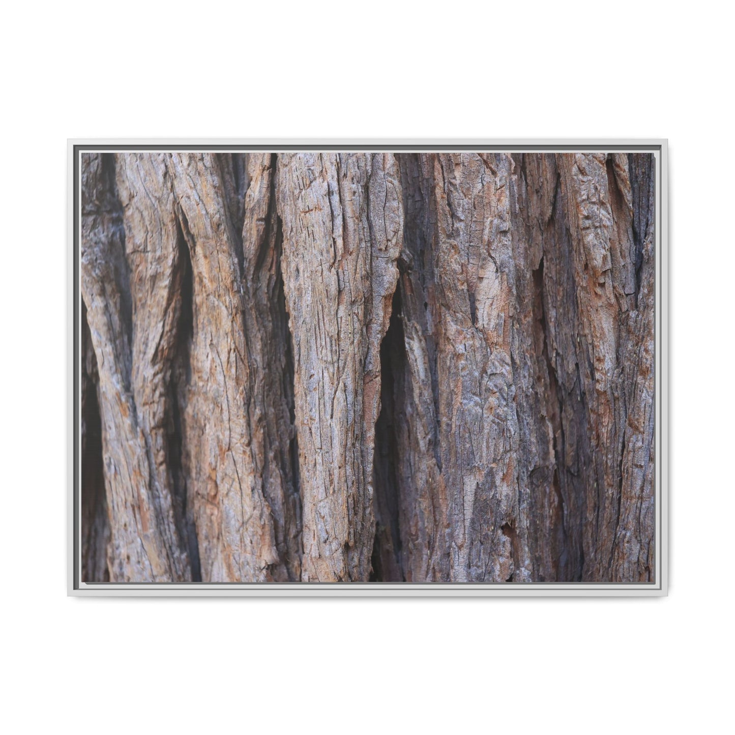 Ancient Grains - Unique Stretched Canvas Wall Art - Art By Earth