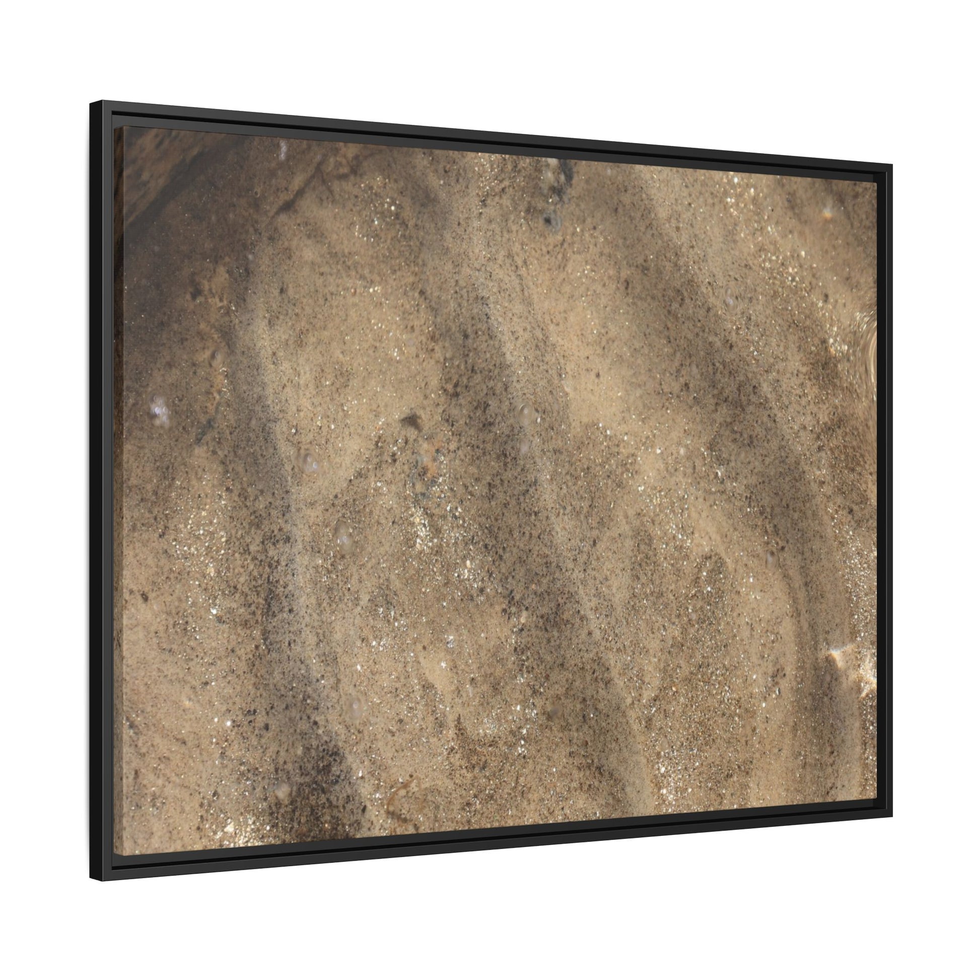 Tidal Pool Secrets - Unique Stretched Canvas Wall Art - Art By Earth