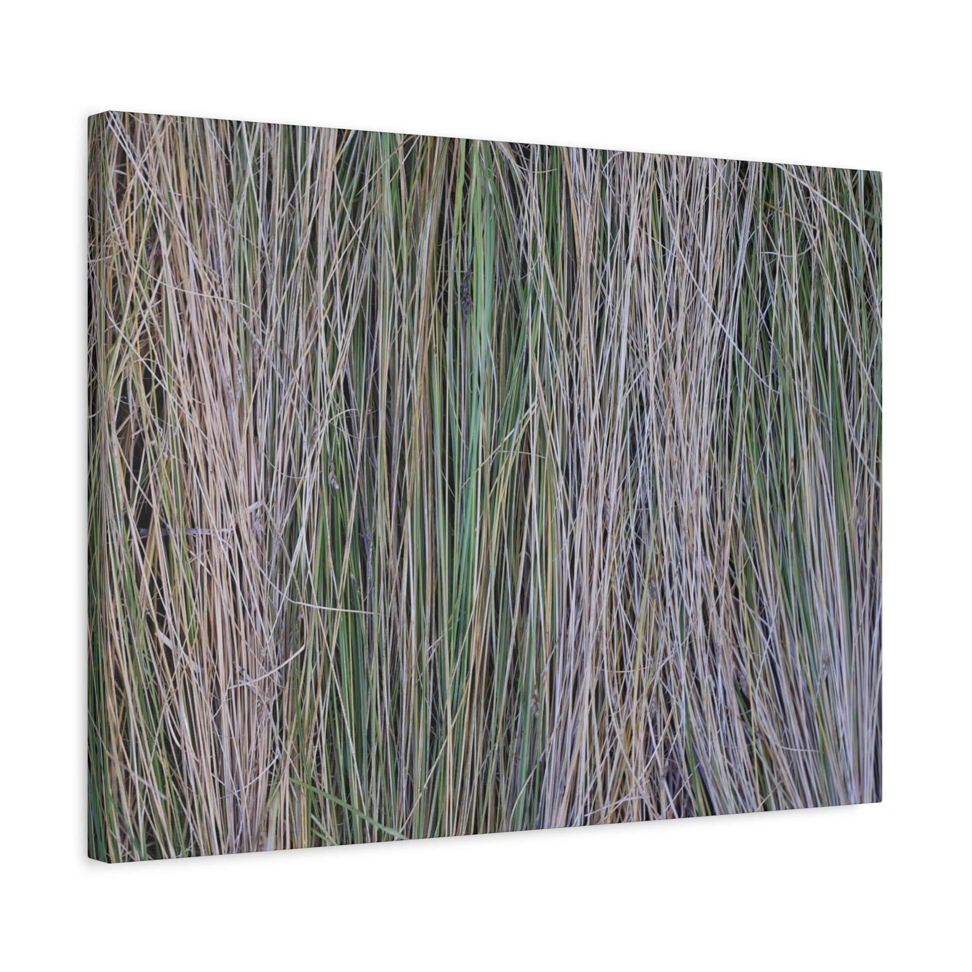 Whispers of Grass - Unique Frameless Canvas Wall Art - Art By Earth