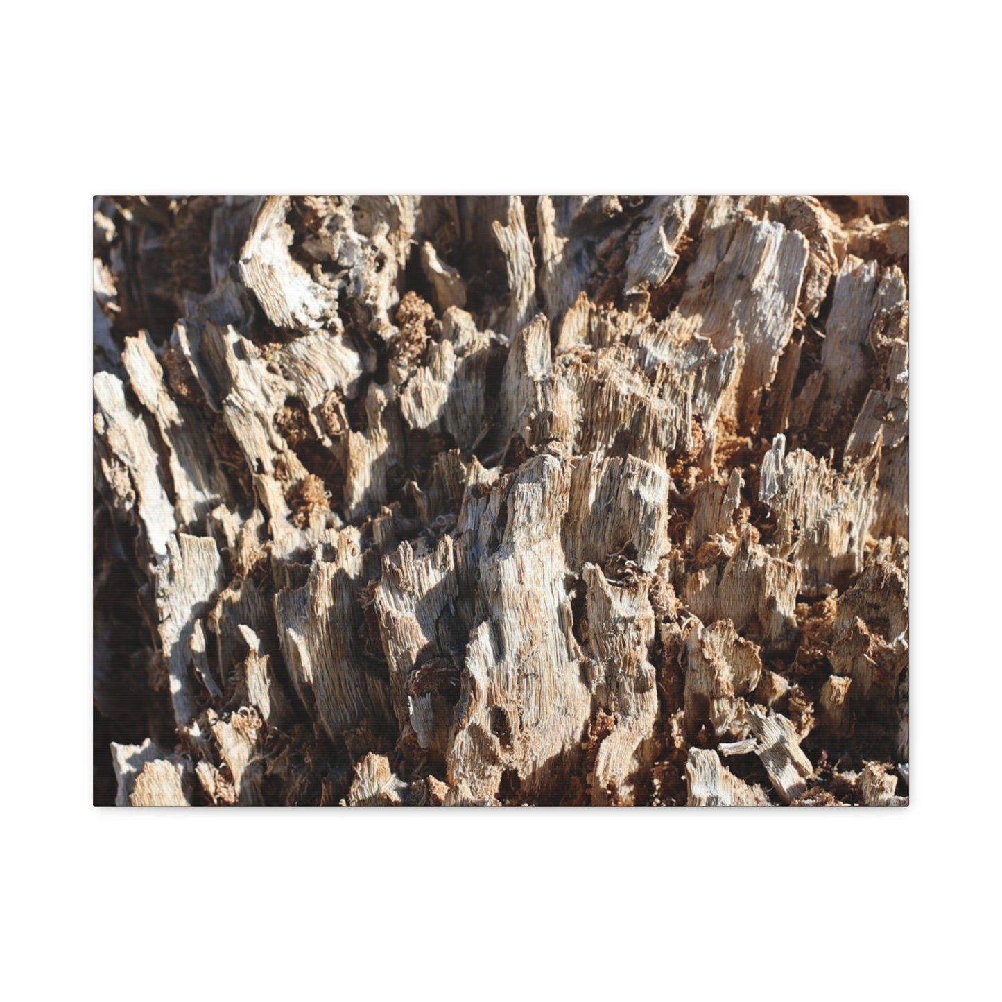 Decaying Bark Symphony - Unique Frameless Canvas Wall Art